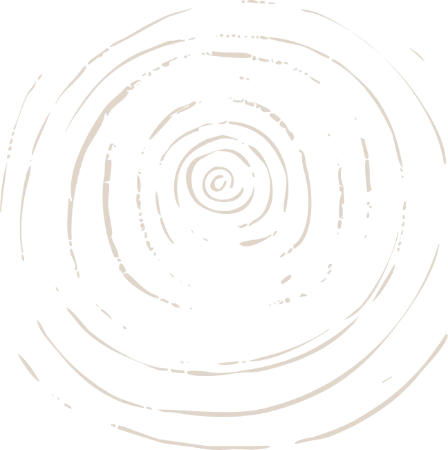Cernes d’un tronc d’arbre dessinés au trait
